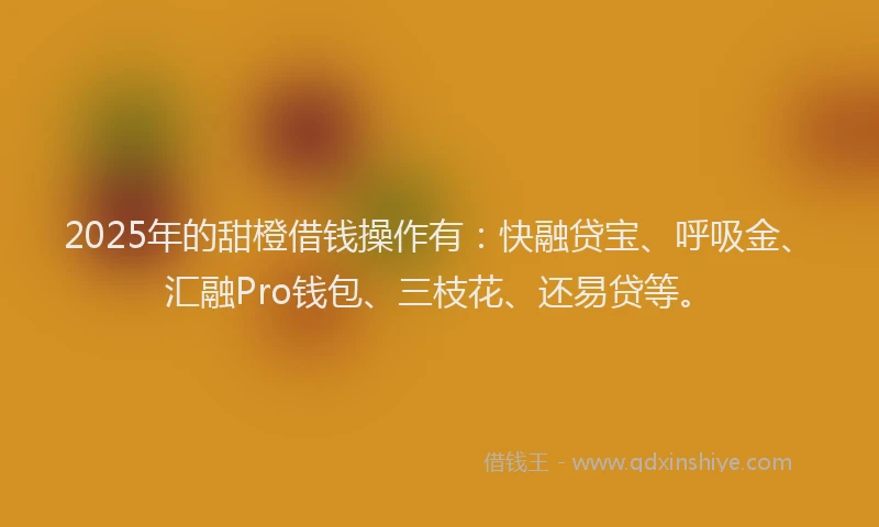 2025年的甜橙借钱操作有：快融贷宝、呼吸金、汇融Pro钱包、三枝花、还易贷等。