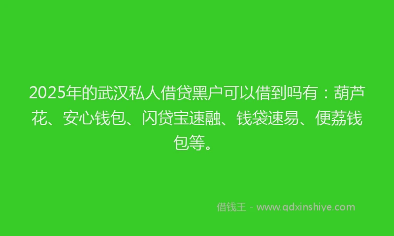 2025年的武汉私人借贷黑户可以借到吗有：葫芦花、安心钱包、闪贷宝速融、钱袋速易、便荔钱包等。