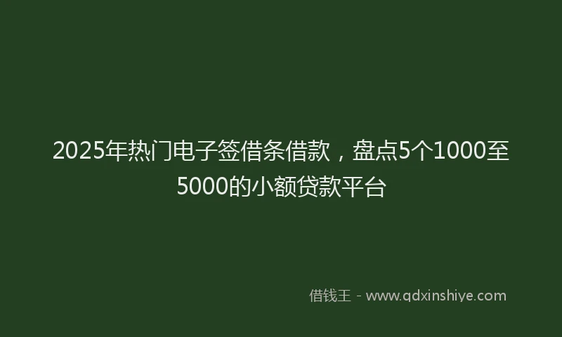 2025年热门电子签借条借款，盘点5个1000至5000的小额贷款平台