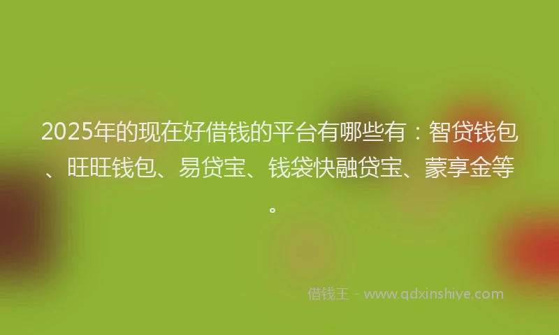 2025年的现在好借钱的平台有哪些有：智贷钱包、旺旺钱包、易贷宝、钱袋快融贷宝、蒙享金等。