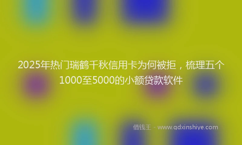 2025年热门瑞鹤千秋信用卡为何被拒，梳理五个1000至5000的小额贷款软件