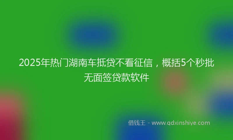 2025年热门湖南车抵贷不看征信，概括5个秒批无面签贷款软件