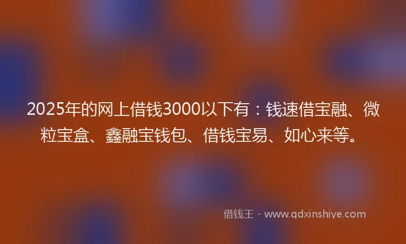 2025年的网上借钱3000以下有：钱速借宝融、微粒宝盒、鑫融宝钱包、借钱宝易、如心来等。