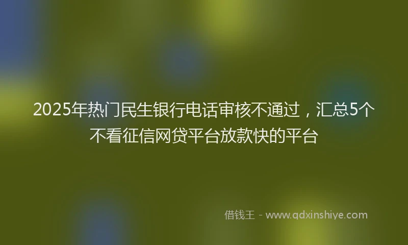 2025年热门民生银行电话审核不通过，汇总5个不看征信网贷平台放款快的平台