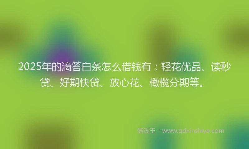 2025年的滴答白条怎么借钱有：轻花优品、读秒贷、好期快贷、放心花、橄榄分期等。