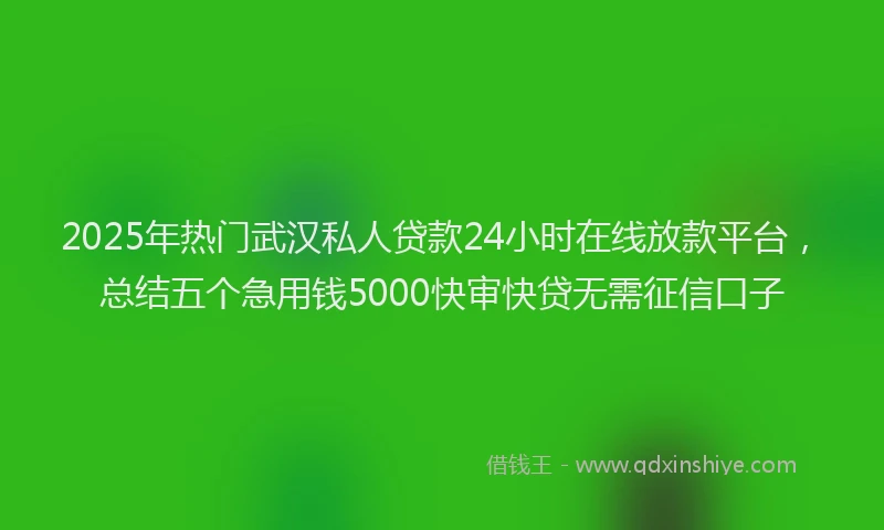 2025年热门武汉私人贷款24小时在线放款平台，总结五个急用钱5000快审快贷无需征信口子
