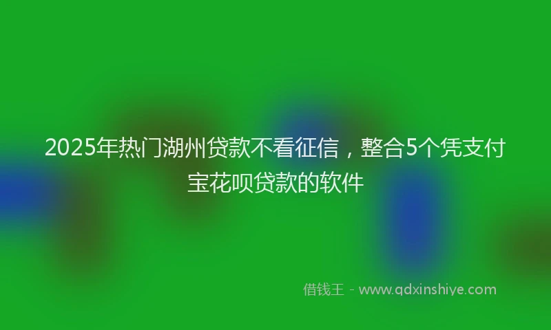 2025年热门湖州贷款不看征信，整合5个凭支付宝花呗贷款的软件