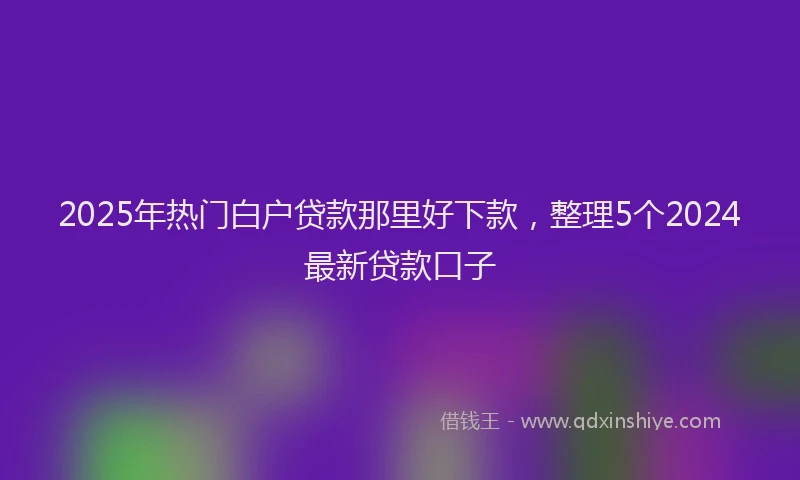 2025年热门白户贷款那里好下款，整理5个2024最新贷款口子