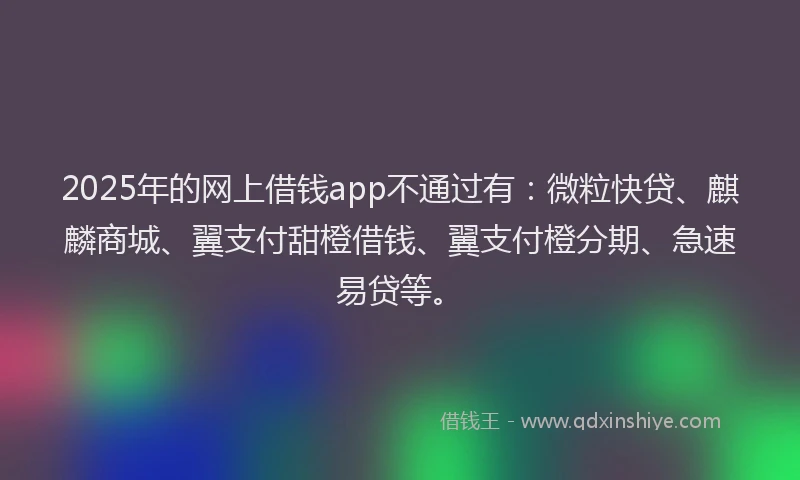 2025年的网上借钱app不通过有：微粒快贷、麒麟商城、翼支付甜橙借钱、翼支付橙分期、急速易贷等。