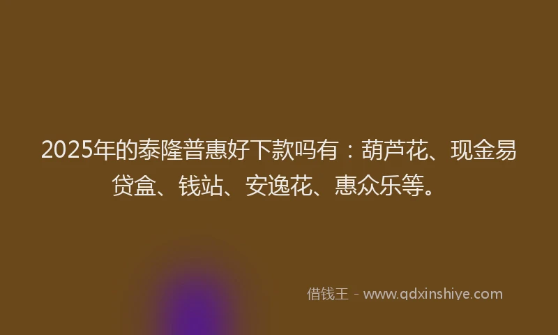 2025年的泰隆普惠好下款吗有：葫芦花、现金易贷盒、钱站、安逸花、惠众乐等。