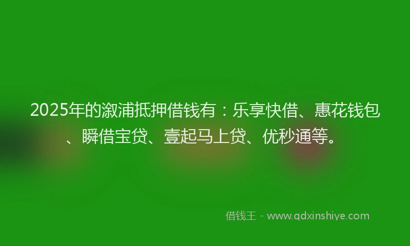 2025年的溆浦抵押借钱有：乐享快借、惠花钱包、瞬借宝贷、壹起马上贷、优秒通等。