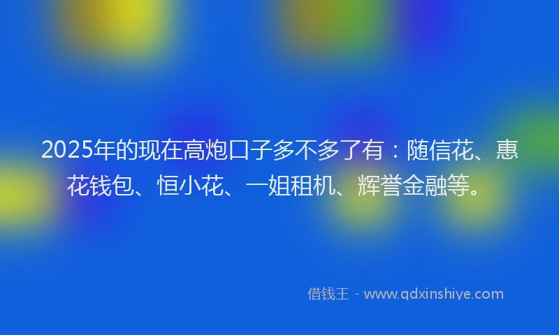 2025年的现在高炮口子多不多了有：随信花、惠花钱包、恒小花、一姐租机、辉誉金融等。