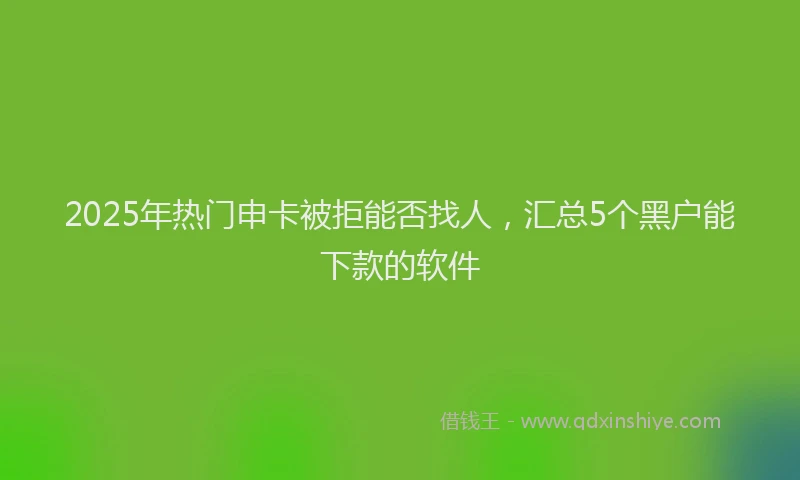 2025年热门申卡被拒能否找人，汇总5个黑户能下款的软件