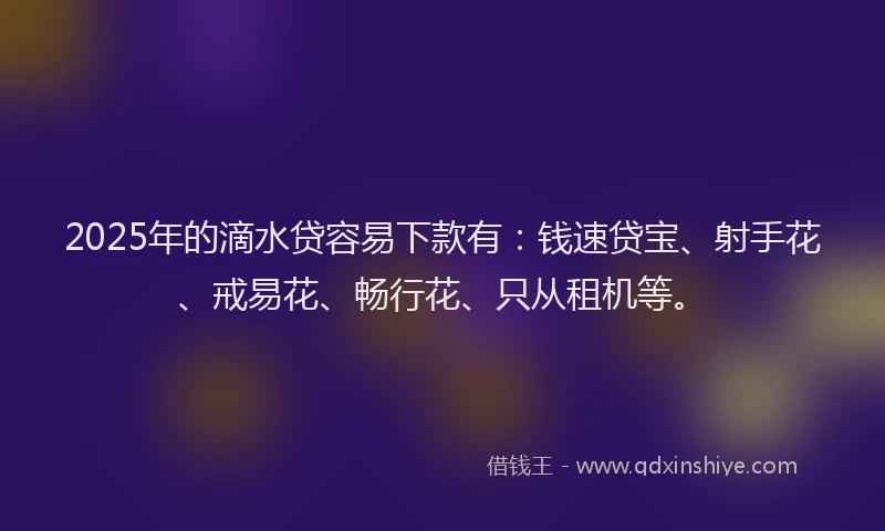 2025年的滴水贷容易下款有：钱速贷宝、射手花、戒易花、畅行花、只从租机等。