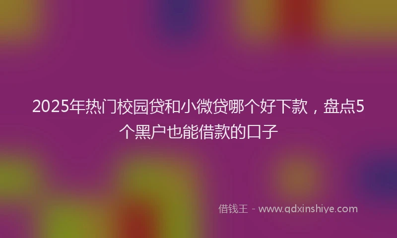 2025年热门校园贷和小微贷哪个好下款，盘点5个黑户也能借款的口子