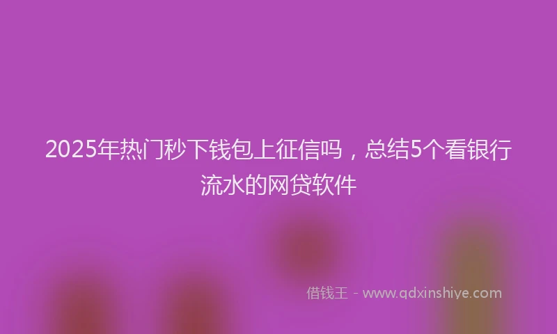 2025年热门秒下钱包上征信吗，总结5个看银行流水的网贷软件