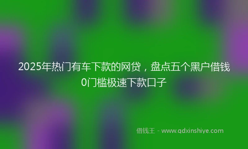 2025年热门有车下款的网贷，盘点五个黑户借钱0门槛极速下款口子