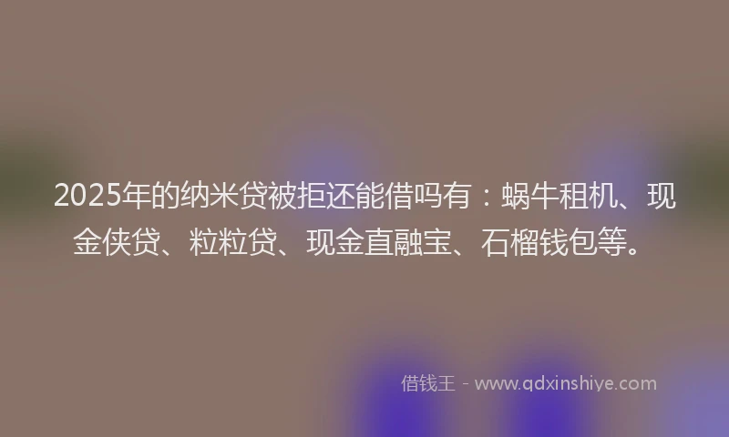 2025年的纳米贷被拒还能借吗有：蜗牛租机、现金侠贷、粒粒贷、现金直融宝、石榴钱包等。