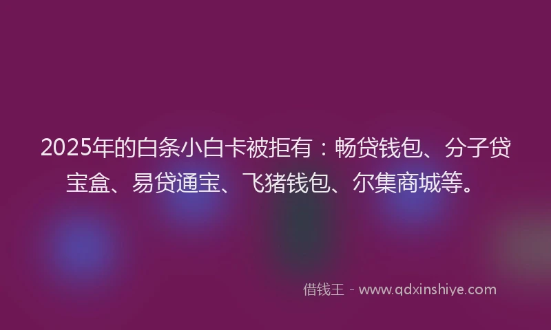 2025年的白条小白卡被拒有：畅贷钱包、分子贷宝盒、易贷通宝、飞猪钱包、尔集商城等。