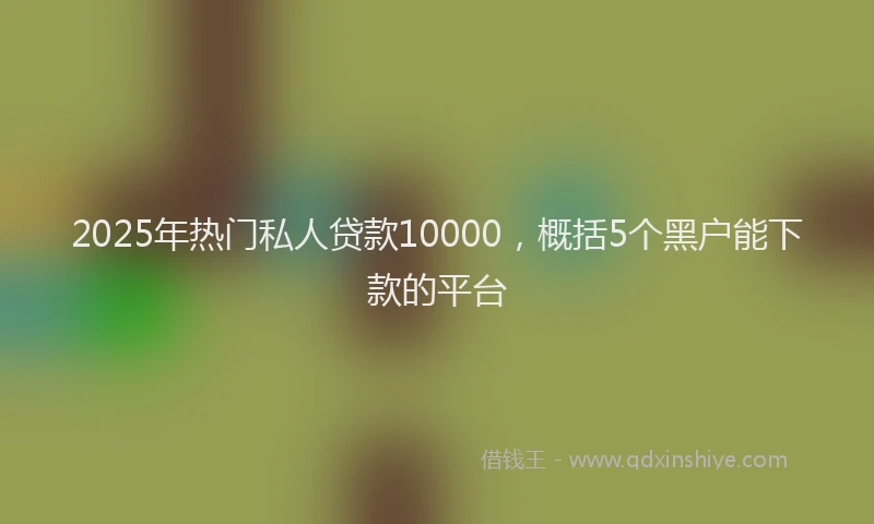 2025年热门私人贷款10000，概括5个黑户能下款的平台