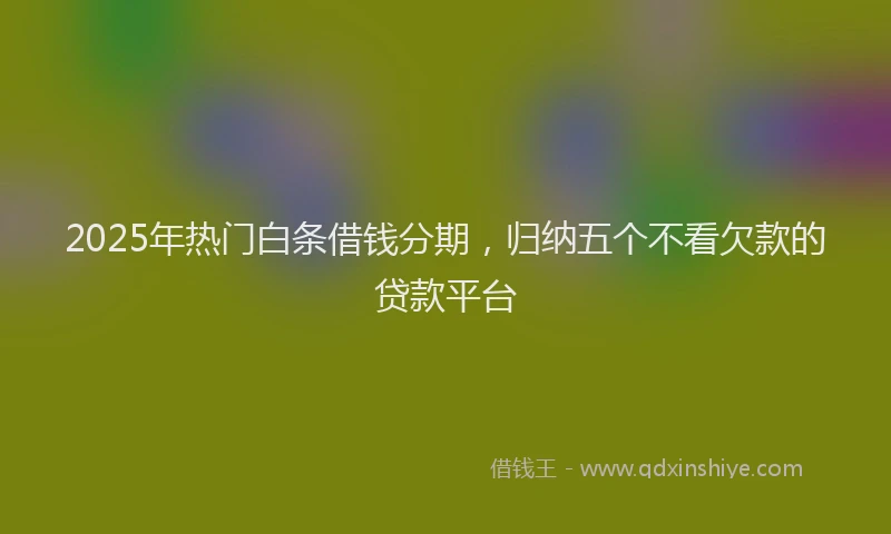 2025年热门白条借钱分期，归纳五个不看欠款的贷款平台