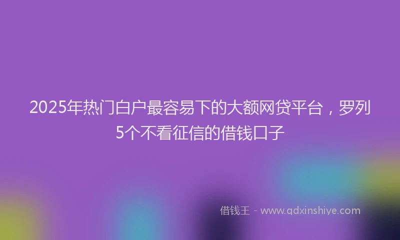 2025年热门白户最容易下的大额网贷平台，罗列5个不看征信的借钱口子