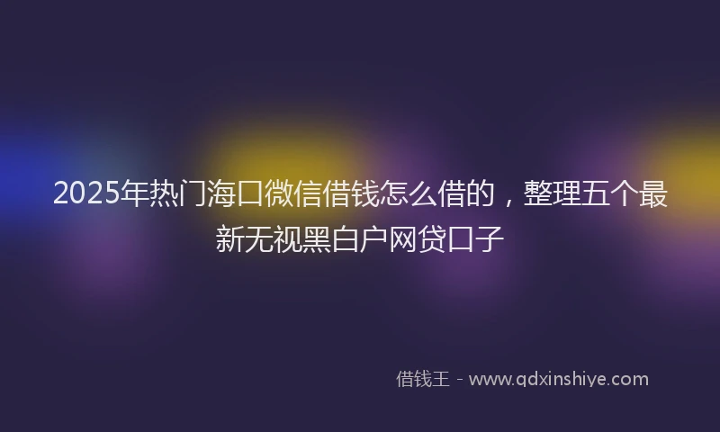 2025年热门海口微信借钱怎么借的，整理五个最新无视黑白户网贷口子