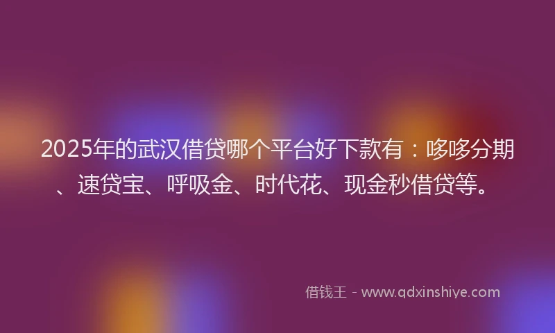 2025年的武汉借贷哪个平台好下款有：哆哆分期、速贷宝、呼吸金、时代花、现金秒借贷等。