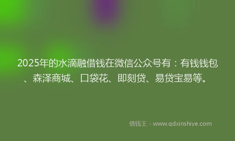 2025年的水滴融借钱在微信公众号有：有钱钱包、森泽商城、口袋花、即刻贷、易贷宝易等。