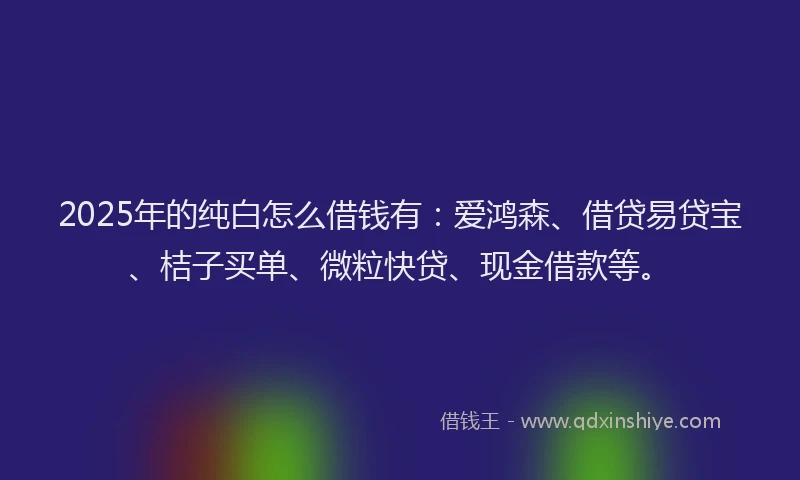 2025年的纯白怎么借钱有：爱鸿森、借贷易贷宝、桔子买单、微粒快贷、现金借款等。