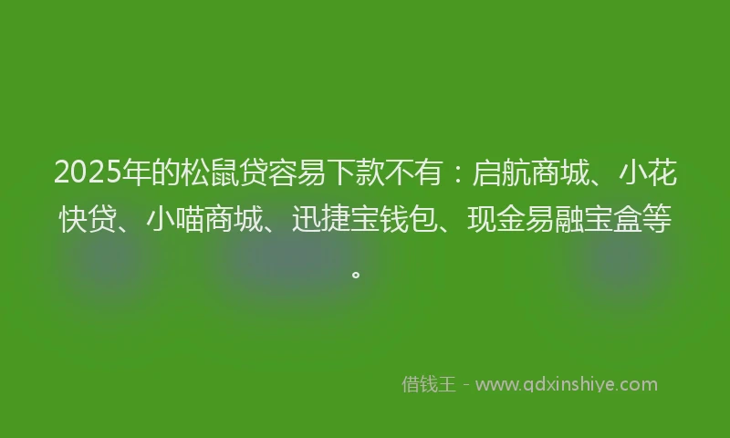 2025年的松鼠贷容易下款不有：启航商城、小花快贷、小喵商城、迅捷宝钱包、现金易融宝盒等。