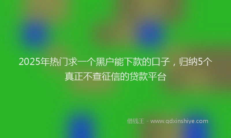 2025年热门求一个黑户能下款的口子，归纳5个真正不查征信的贷款平台