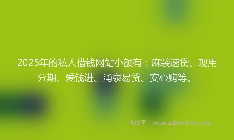 2025年的私人借钱网站小额有：麻袋速贷、现用分期、爱钱进、涌泉易贷、安心购等。