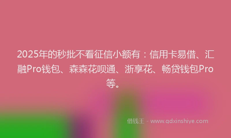 2025年的秒批不看征信小额有：信用卡易借、汇融Pro钱包、森森花呗通、浙享花、畅贷钱包Pro等。