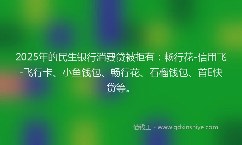 2025年的民生银行消费贷被拒有：畅行花-信用飞-飞行卡、小鱼钱包、畅行花、石榴钱包、首E快贷等。