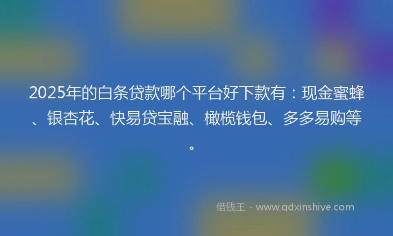2025年的白条贷款哪个平台好下款有：现金蜜蜂、银杏花、快易贷宝融、橄榄钱包、多多易购等。