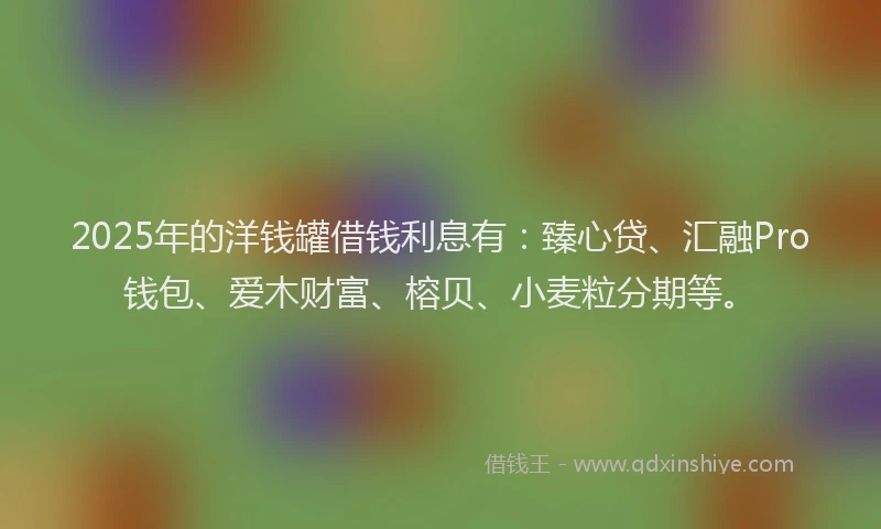 2025年的洋钱罐借钱利息有：臻心贷、汇融Pro钱包、爱木财富、榕贝、小麦粒分期等。