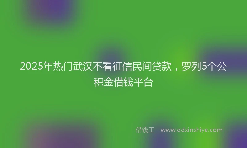 2025年热门武汉不看征信民间贷款，罗列5个公积金借钱平台