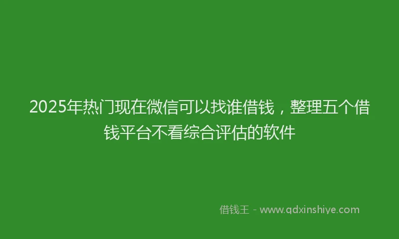 2025年热门现在微信可以找谁借钱，整理五个借钱平台不看综合评估的软件