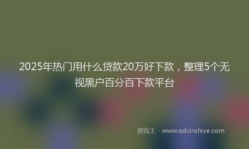 2025年热门用什么贷款20万好下款，整理5个无视黑户百分百下款平台