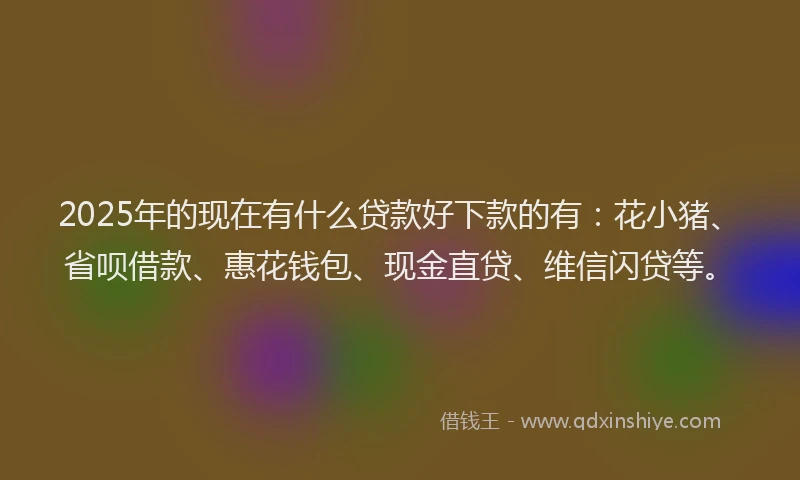 2025年的现在有什么贷款好下款的有：花小猪、省呗借款、惠花钱包、现金直贷、维信闪贷等。