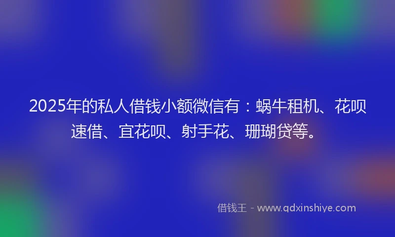 2025年的私人借钱小额微信有：蜗牛租机、花呗速借、宜花呗、射手花、珊瑚贷等。