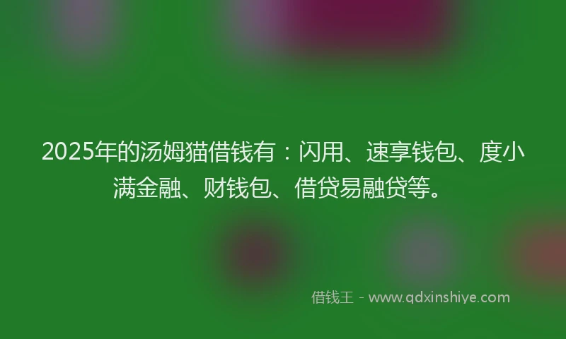 2025年的汤姆猫借钱有：闪用、速享钱包、度小满金融、财钱包、借贷易融贷等。