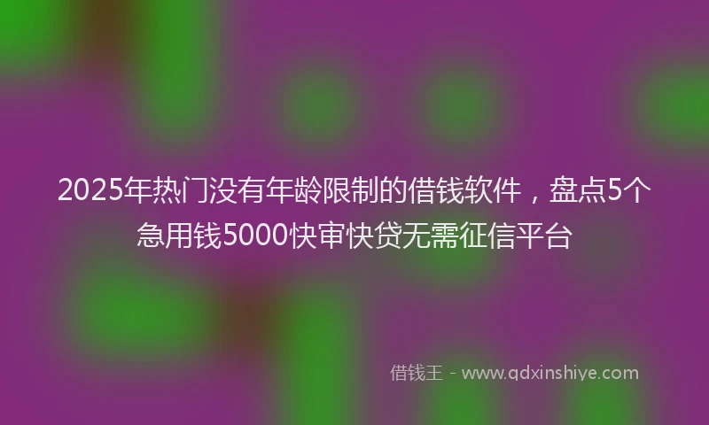 2025年热门没有年龄限制的借钱软件，盘点5个急用钱5000快审快贷无需征信平台