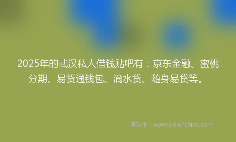2025年的武汉私人借钱贴吧有：京东金融、蜜桃分期、易贷通钱包、滴水贷、随身易贷等。