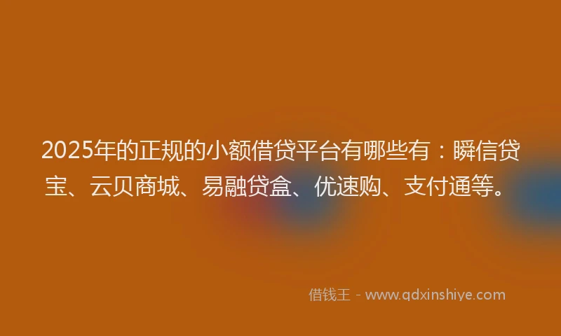 2025年的正规的小额借贷平台有哪些有：瞬信贷宝、云贝商城、易融贷盒、优速购、支付通等。