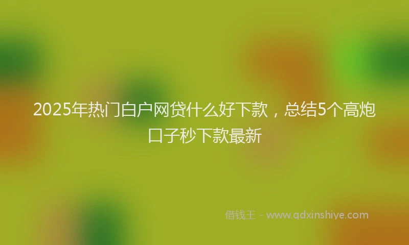 2025年热门白户网贷什么好下款，总结5个高炮口子秒下款最新