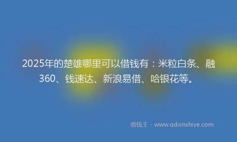 2025年的楚雄哪里可以借钱有：米粒白条、融360、钱速达、新浪易借、哈银花等。