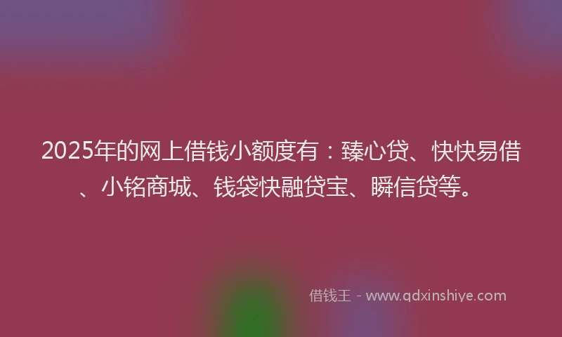 2025年的网上借钱小额度有：臻心贷、快快易借、小铭商城、钱袋快融贷宝、瞬信贷等。