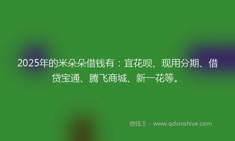 2025年的米朵朵借钱有：宜花呗、现用分期、借贷宝通、腾飞商城、新一花等。